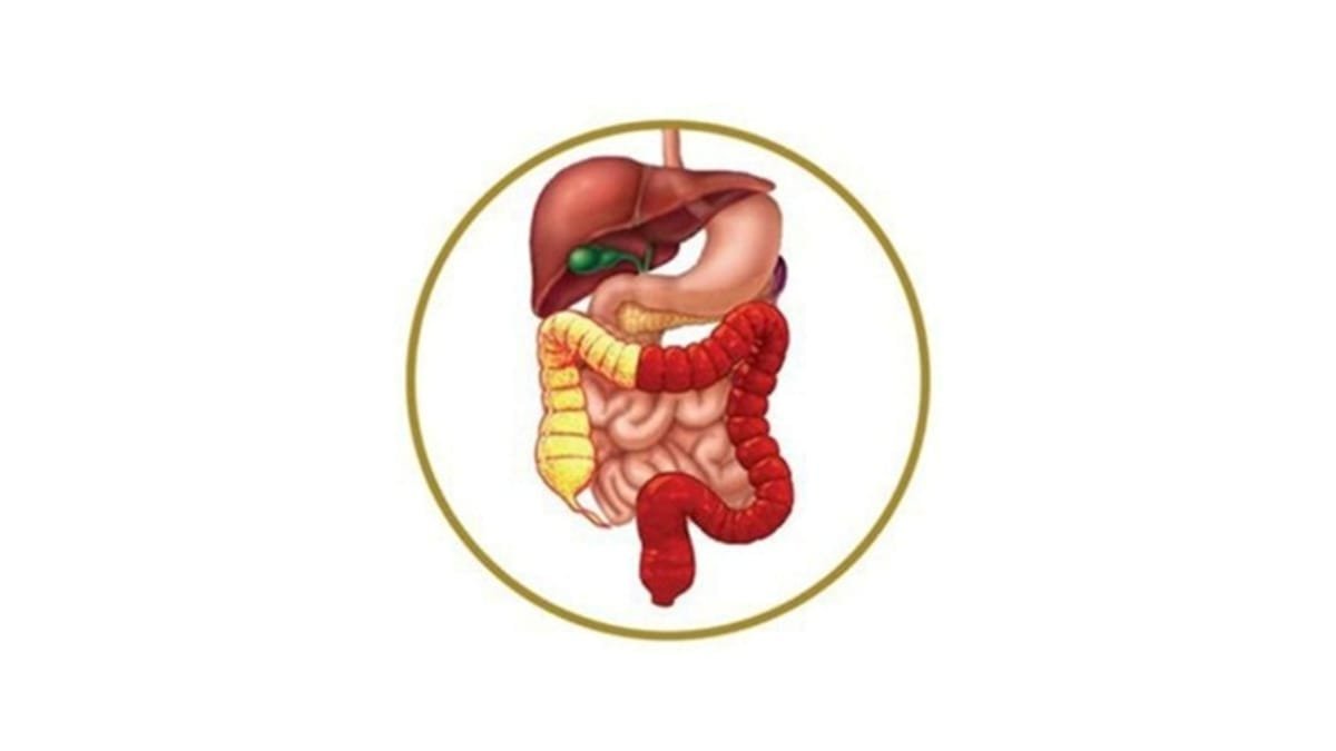 International Ayurvedic Health Initiative – Free Ayurvedic Medical Camp to be Held in Vadodara on July 13 A team of specialists will provide consultation and medicines for patients suffering from digestive disorders